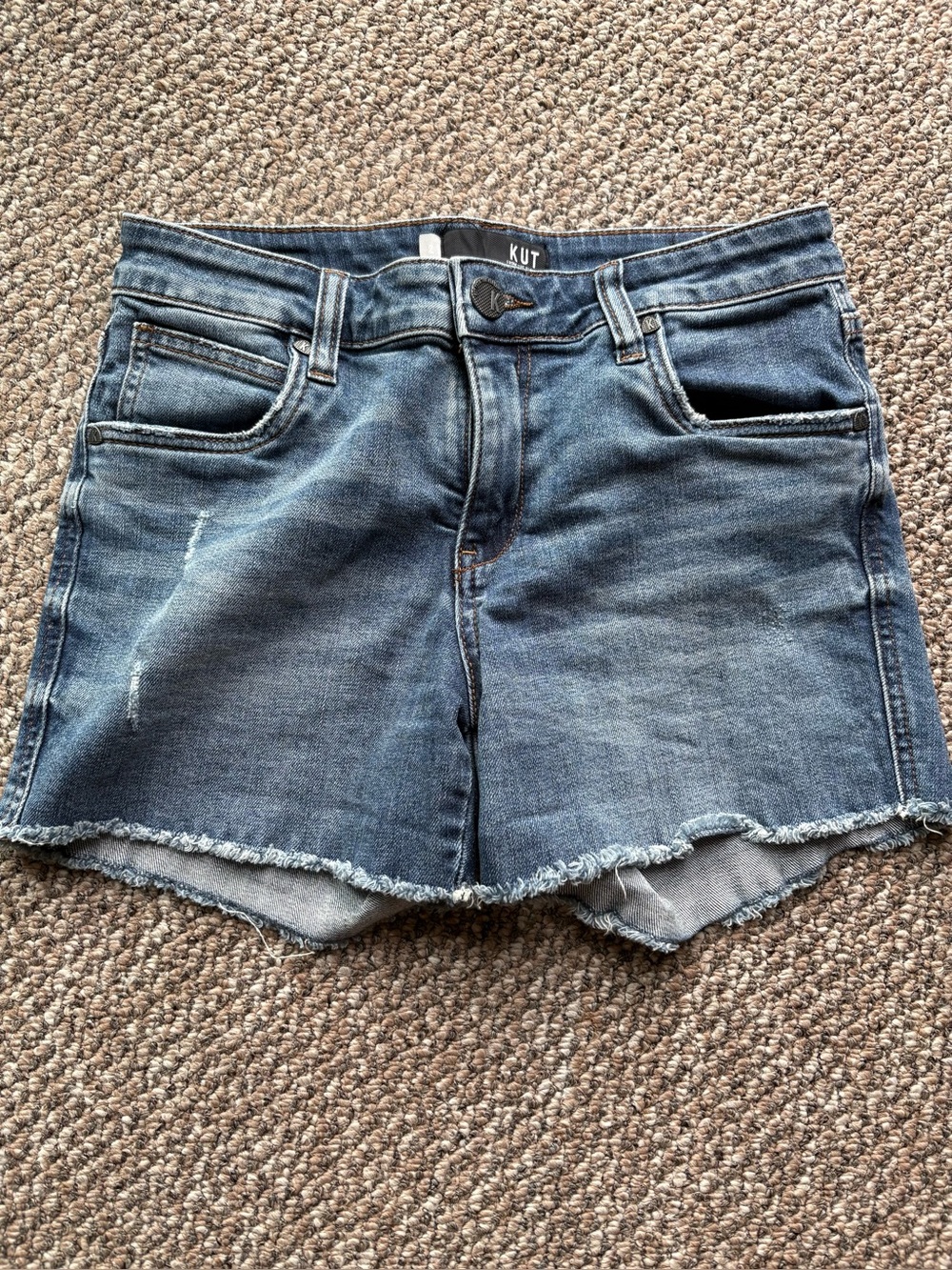 KUT From The Kloth Blue Denim Frayed Hem Shorts-size2